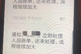 沈丘如何避免债务纠纷？专业追讨公司教您应对之策