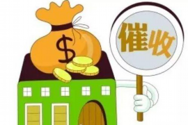 沈丘为什么选择专业追讨公司来处理您的债务纠纷？