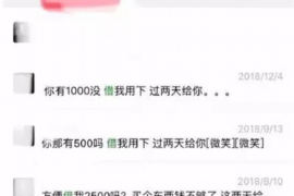 沈丘遇到恶意拖欠？专业追讨公司帮您解决烦恼